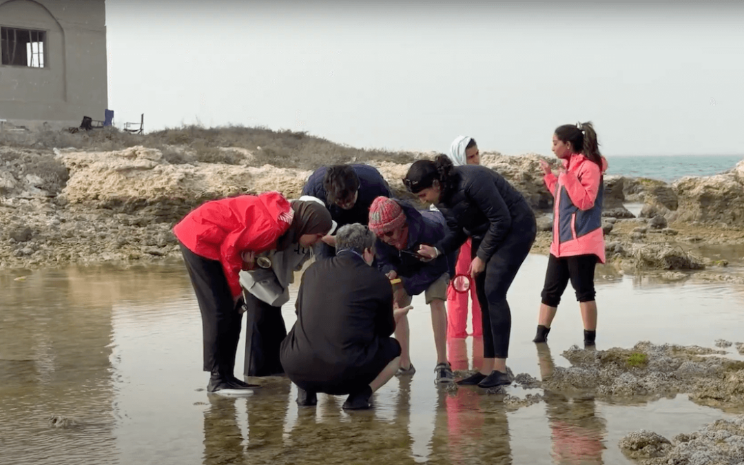 Discovering the Rocky Intertidal Zone at Sheikh Ibrahim Island