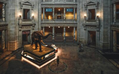 Smithsonian Institute – Museum of Natural History