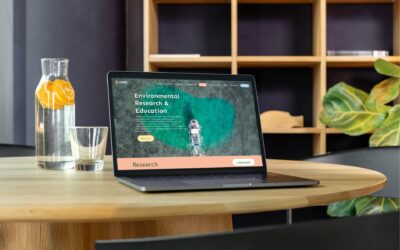 Learning Without Borders: Nuwat Launches Online Courses