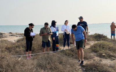From Office to Ocean: A Day of Nature Immersion with BNP Paribas