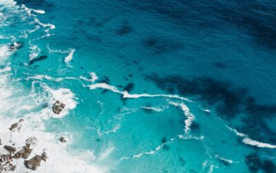 World Oceans Day 2026